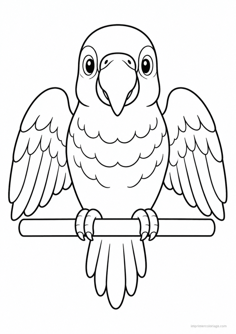 coloriage perroquet face ailes - dessin gratuit &agrave; imprimer