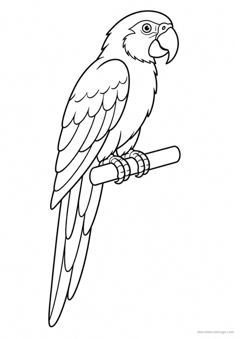 coloriage perroquet profil simple - dessin gratuit &agrave; imprimer