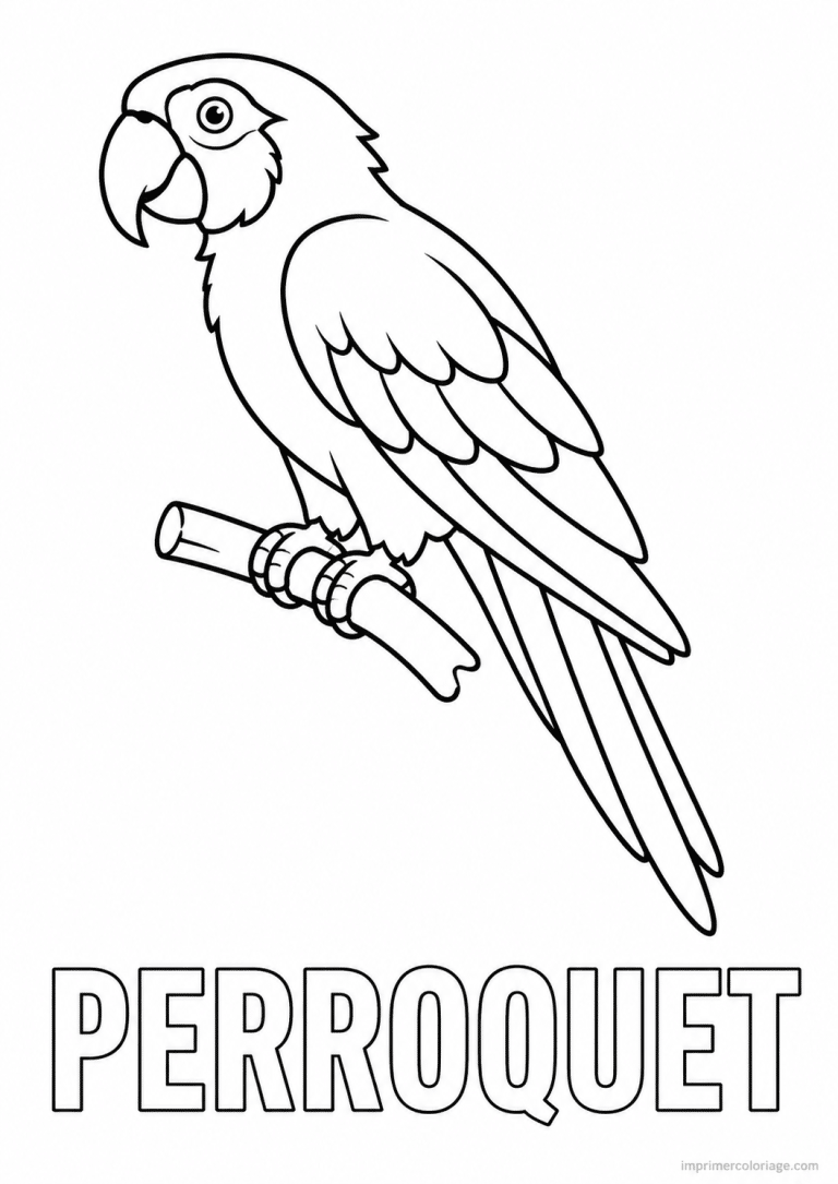 coloriage perroquet titre bas - dessin gratuit &agrave; imprimer