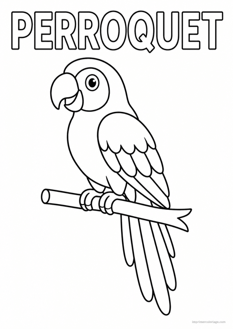coloriage perroquet titre haut - dessin gratuit &agrave; imprimer