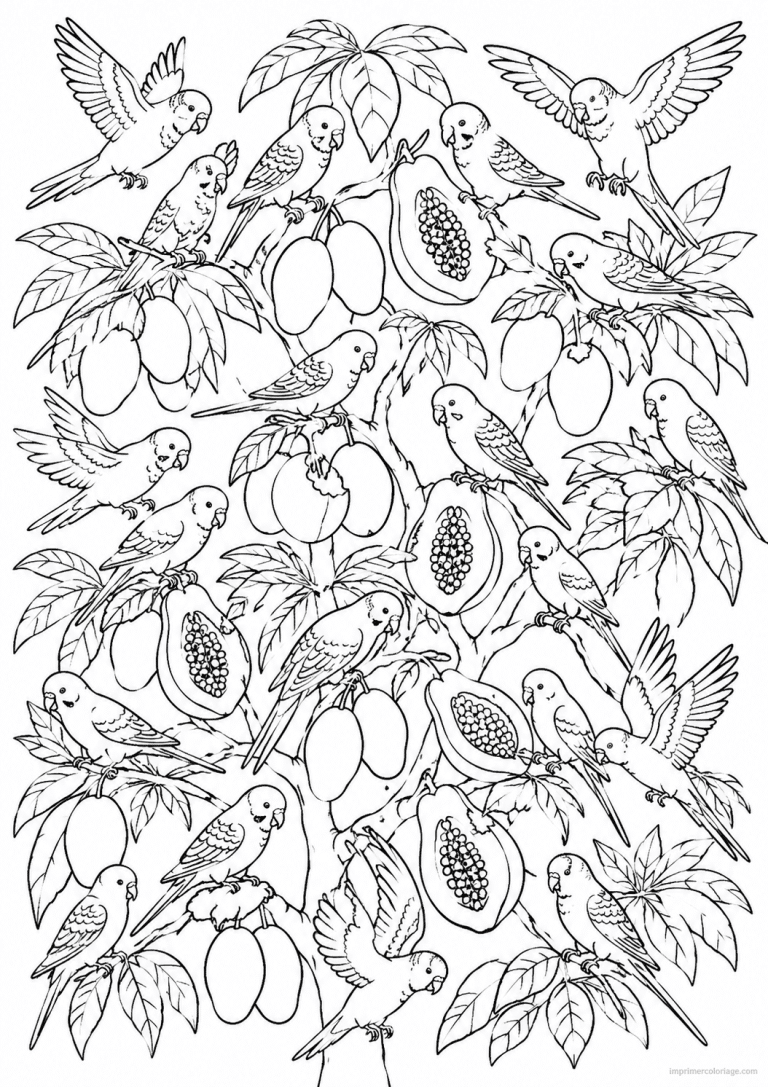 coloriage perruches arbre fruits tropicaux - dessin gratuit &agrave; imprimer