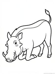 coloriage phacochère agenouille broute - dessin gratuit à imprimer