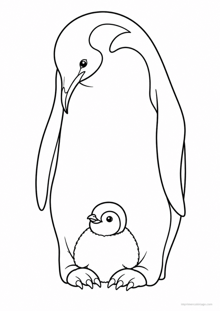 coloriage pingouin parent poussin poche - dessin gratuit &agrave; imprimer