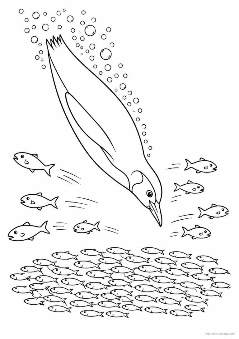 coloriage pingouin plonge poissons bulles - dessin gratuit &agrave; imprimer