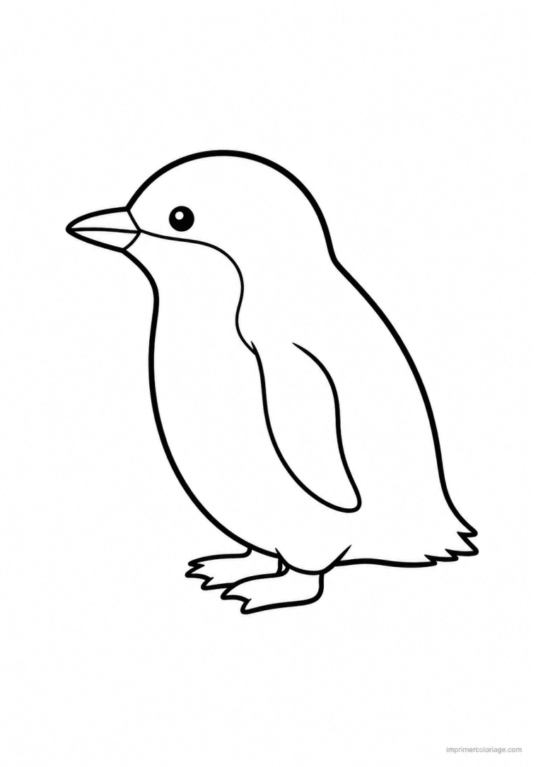 coloriage pingouin pygmee petit - dessin gratuit &agrave; imprimer