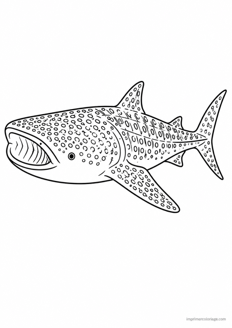coloriage requin bebe petit - dessin gratuit &agrave; imprimer