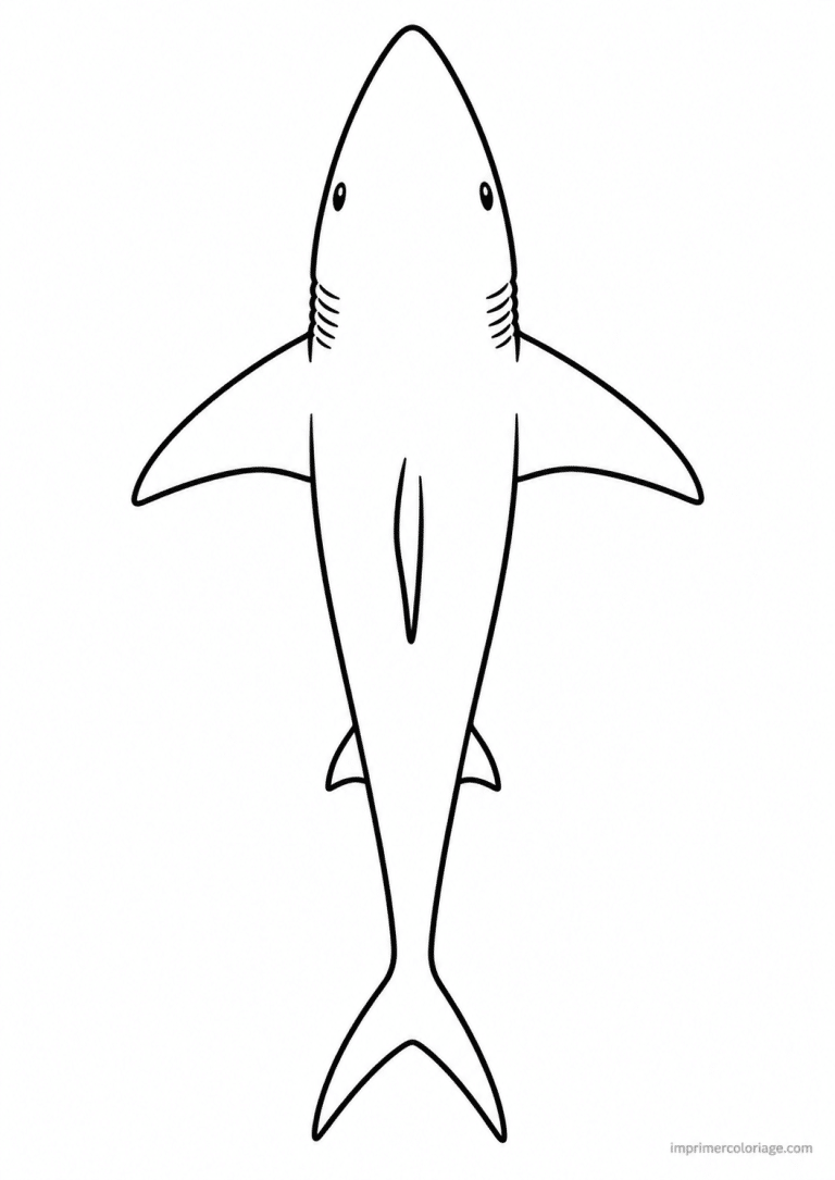 coloriage requin dessus nageoires - dessin gratuit &agrave; imprimer