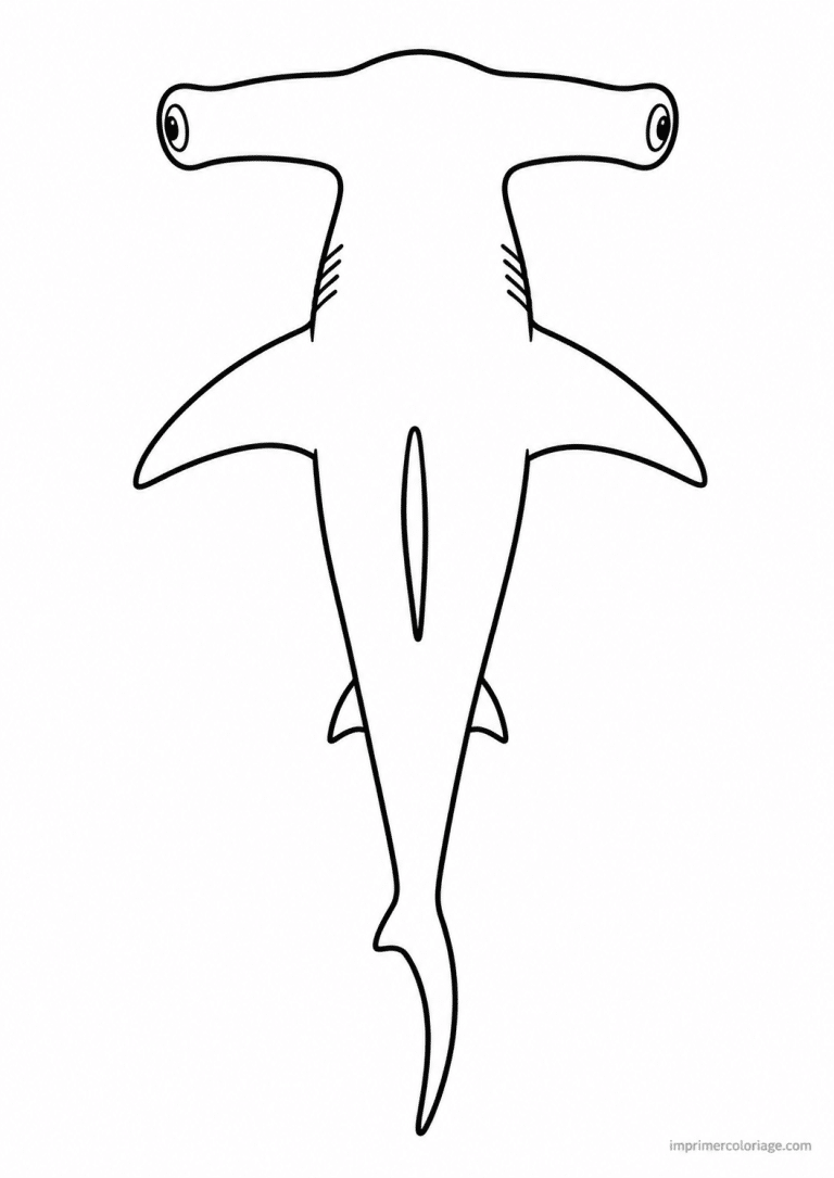 coloriage requin marteau dessus - dessin gratuit &agrave; imprimer