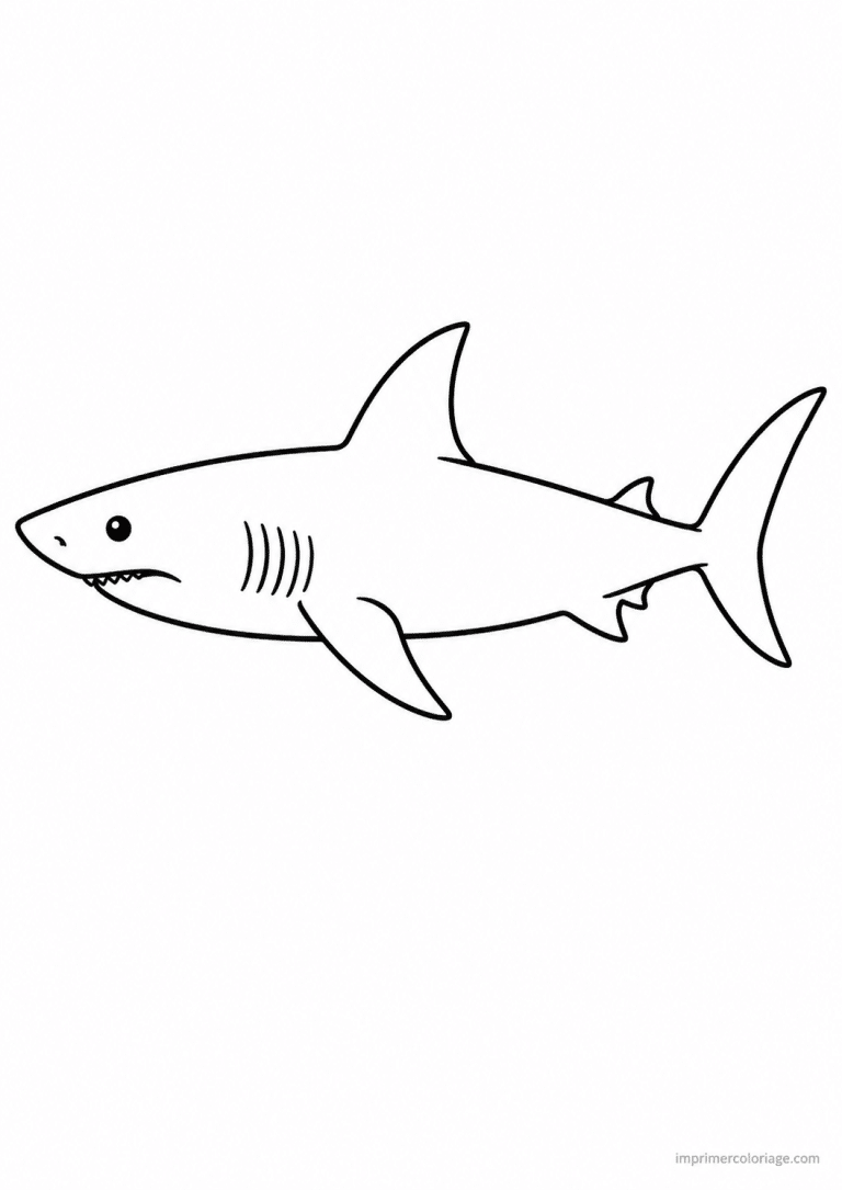 coloriage requin profil simple - dessin gratuit &agrave; imprimer
