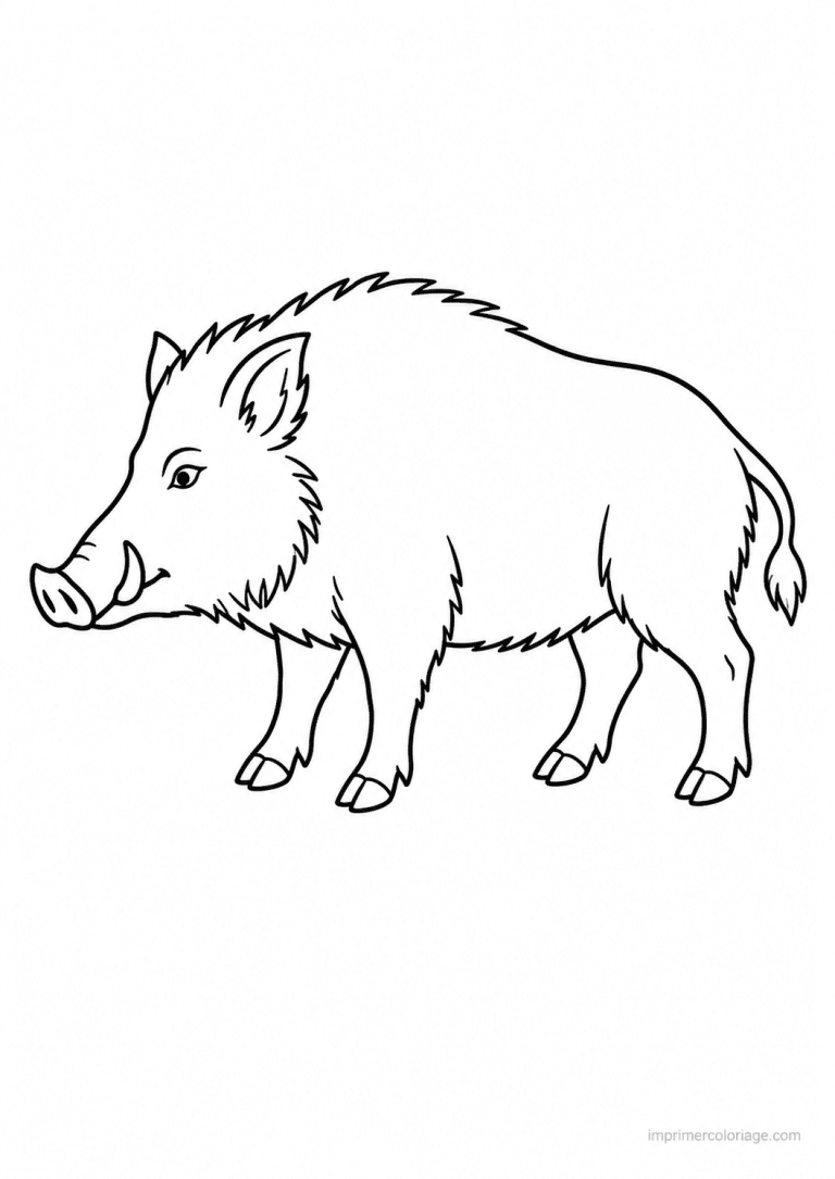 coloriage sanglier foret profil simple à imprimer coloriage sanglier foret profil simple - dessin gratuit à imprimer