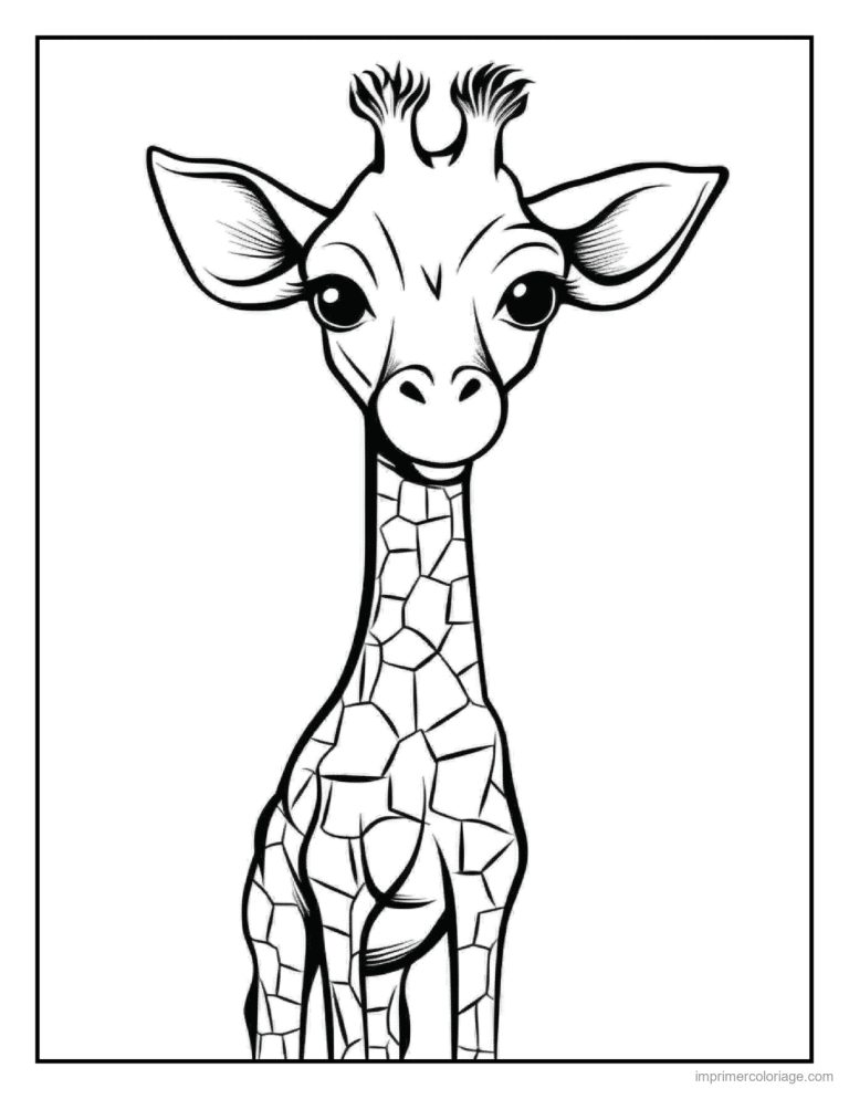 coloriage savane bebe girafe elancee à imprimer coloriage savane bebe girafe elancee - dessin gratuit à imprimer