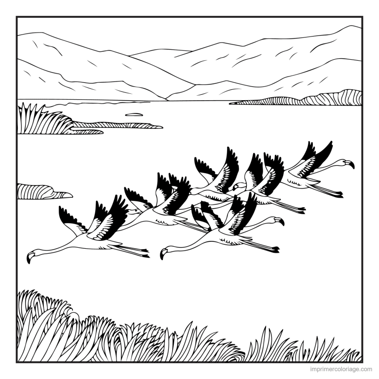 coloriage savane envol de flamants roses à imprimer coloriage savane envol de flamants roses - dessin gratuit à imprimer