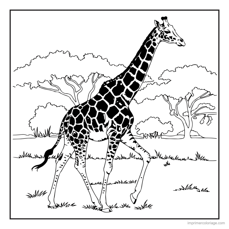 coloriage savane girafe dans la savane à imprimer coloriage savane girafe dans la savane - dessin gratuit à imprimer