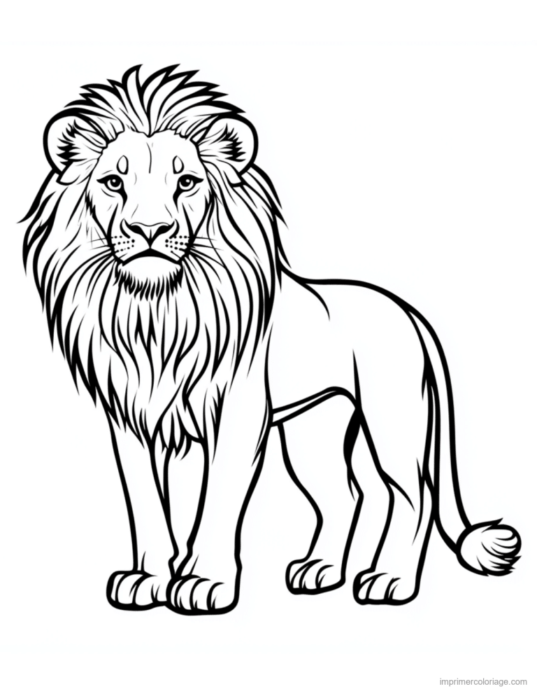 coloriage savane lion classique a criniere à imprimer coloriage savane lion classique a criniere - dessin gratuit à imprimer