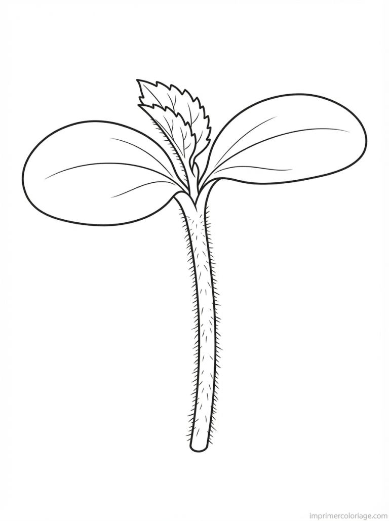 coloriage tournesol jeune pousse - dessin gratuit &agrave; imprimer
