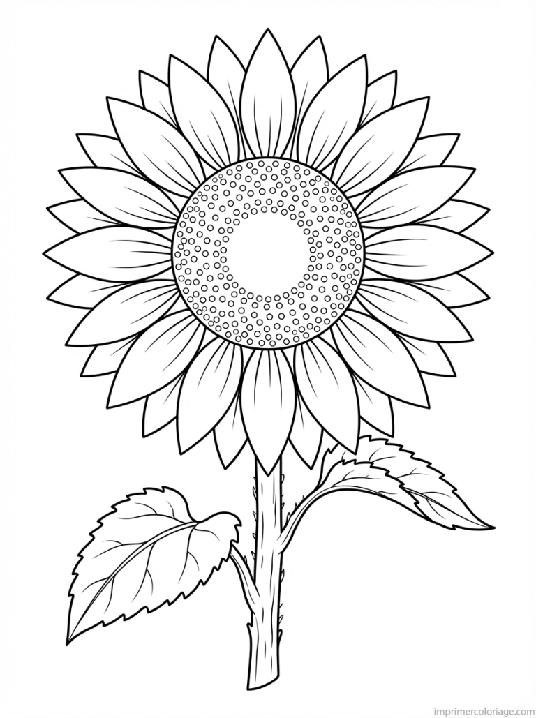 coloriage tournesol simple tige - dessin gratuit &agrave; imprimer