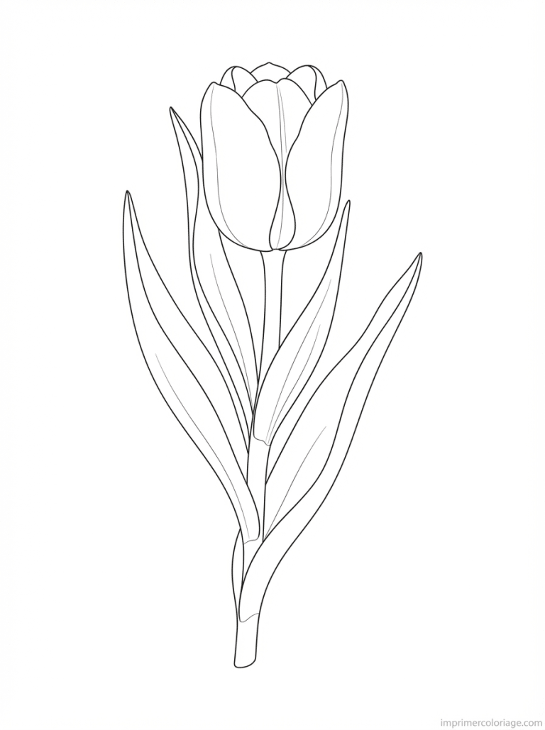 coloriage tulipe simple tige - dessin gratuit &agrave; imprimer