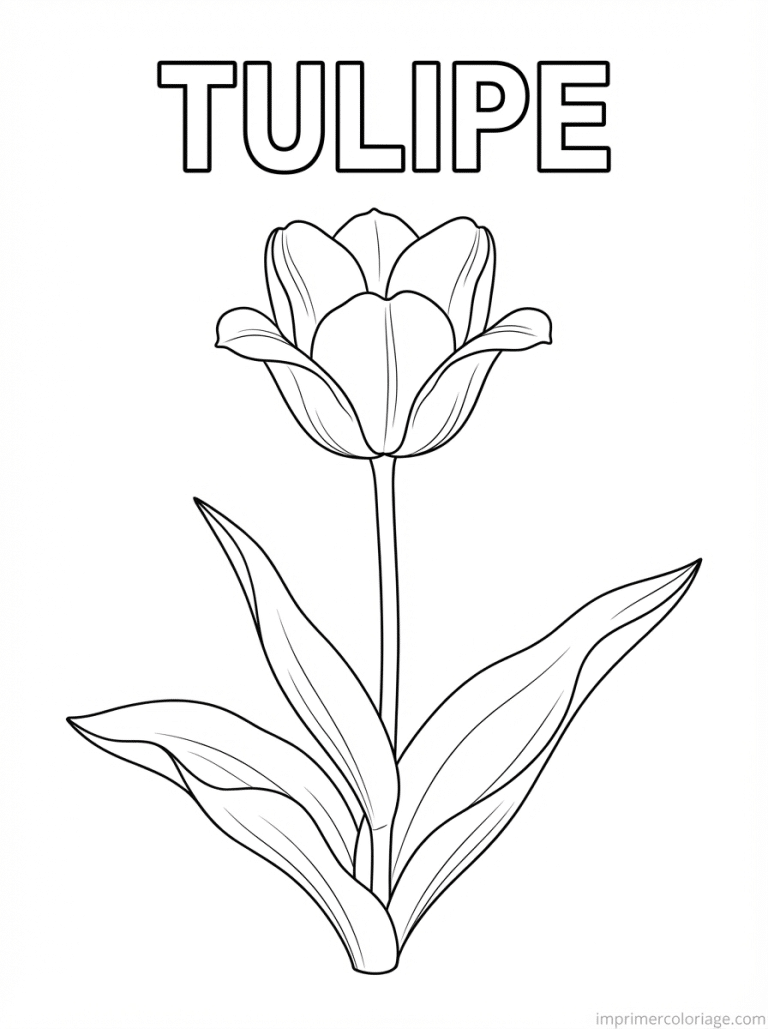 coloriage tulipe titre fleur - dessin gratuit &agrave; imprimer