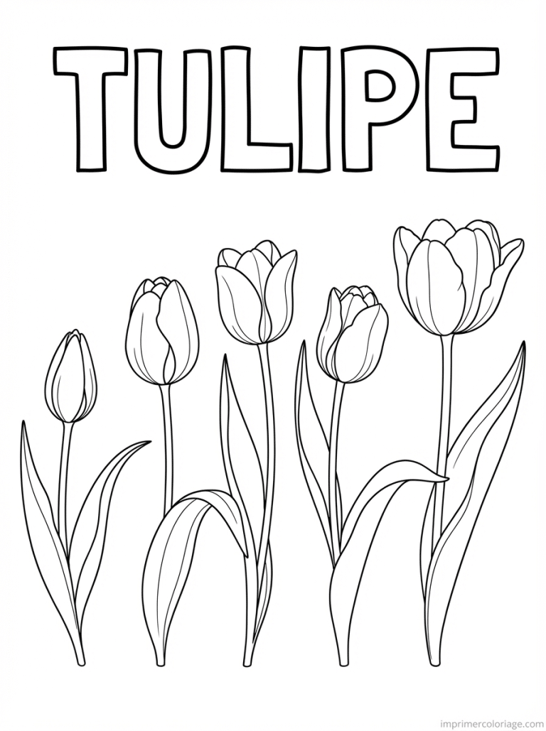 coloriage tulipe titre rangee - dessin gratuit &agrave; imprimer