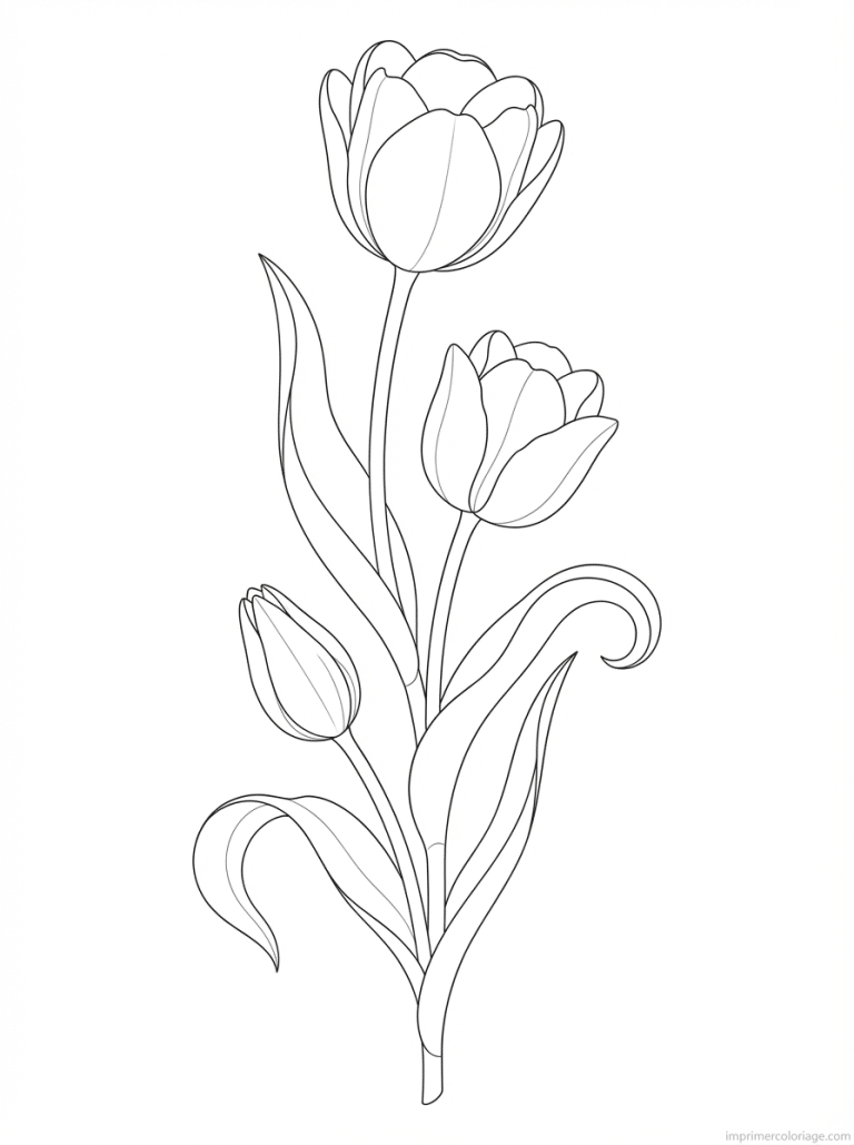coloriage tulipe trois stades tige - dessin gratuit &agrave; imprimer