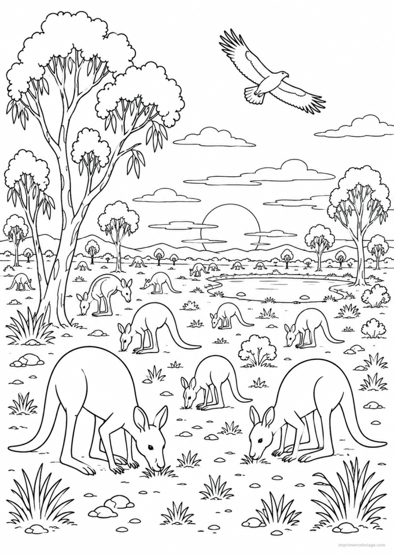 coloriage kangourou mob outback eucalyptus - dessin gratuit &agrave; imprimer