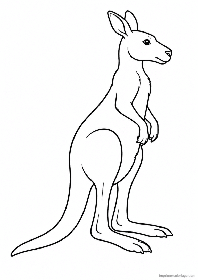 coloriage kangourou profil simple - dessin gratuit &agrave; imprimer