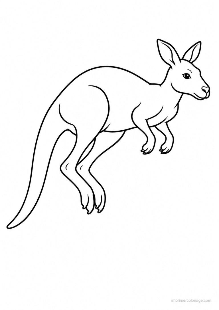 coloriage kangourou saut vol planee - dessin gratuit &agrave; imprimer