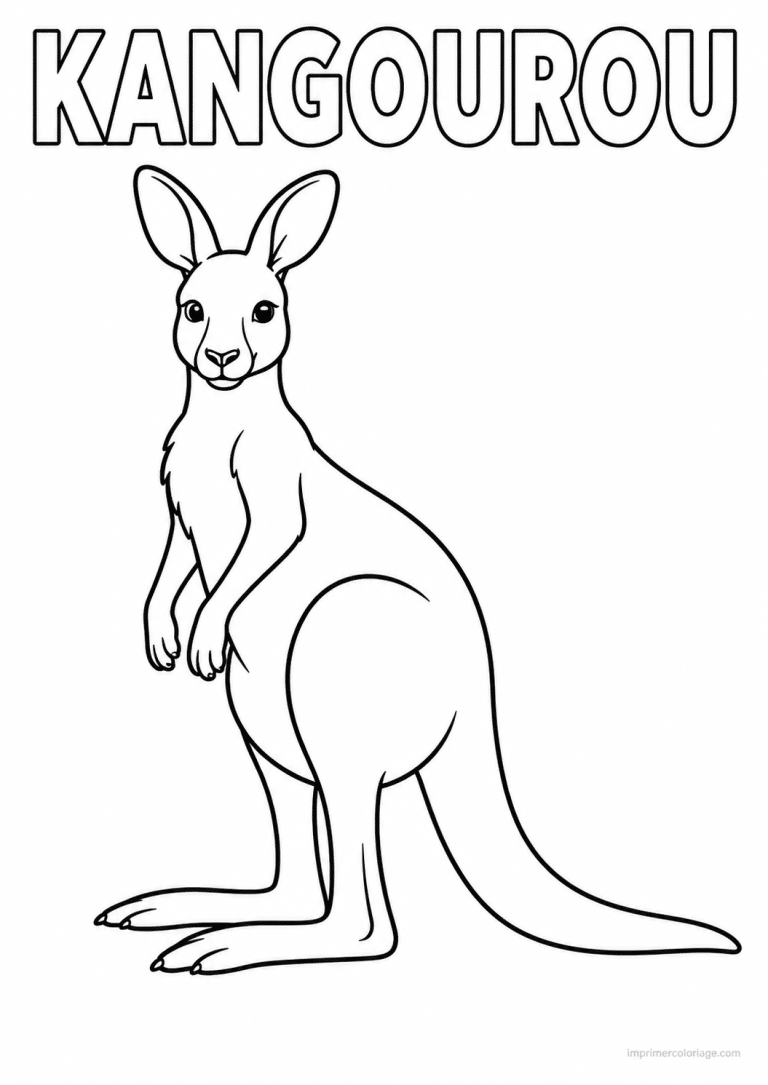 coloriage kangourou titre haut - dessin gratuit &agrave; imprimer