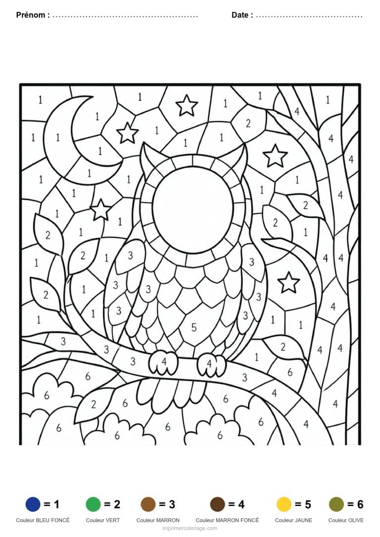 coloriage magique adulte hibou mosaique - dessin gratuit &agrave; imprimer