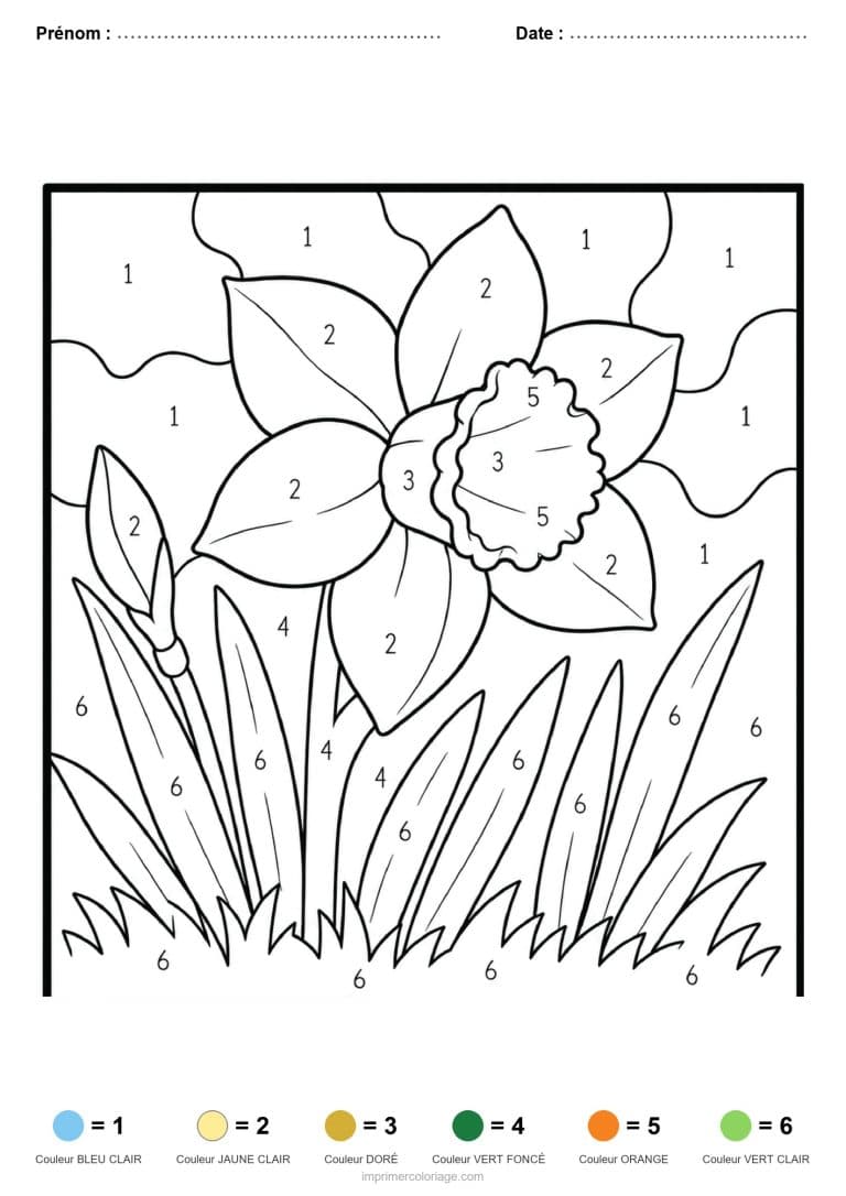 coloriage magique adulte jonquille, dessin gratuit &agrave; imprimer