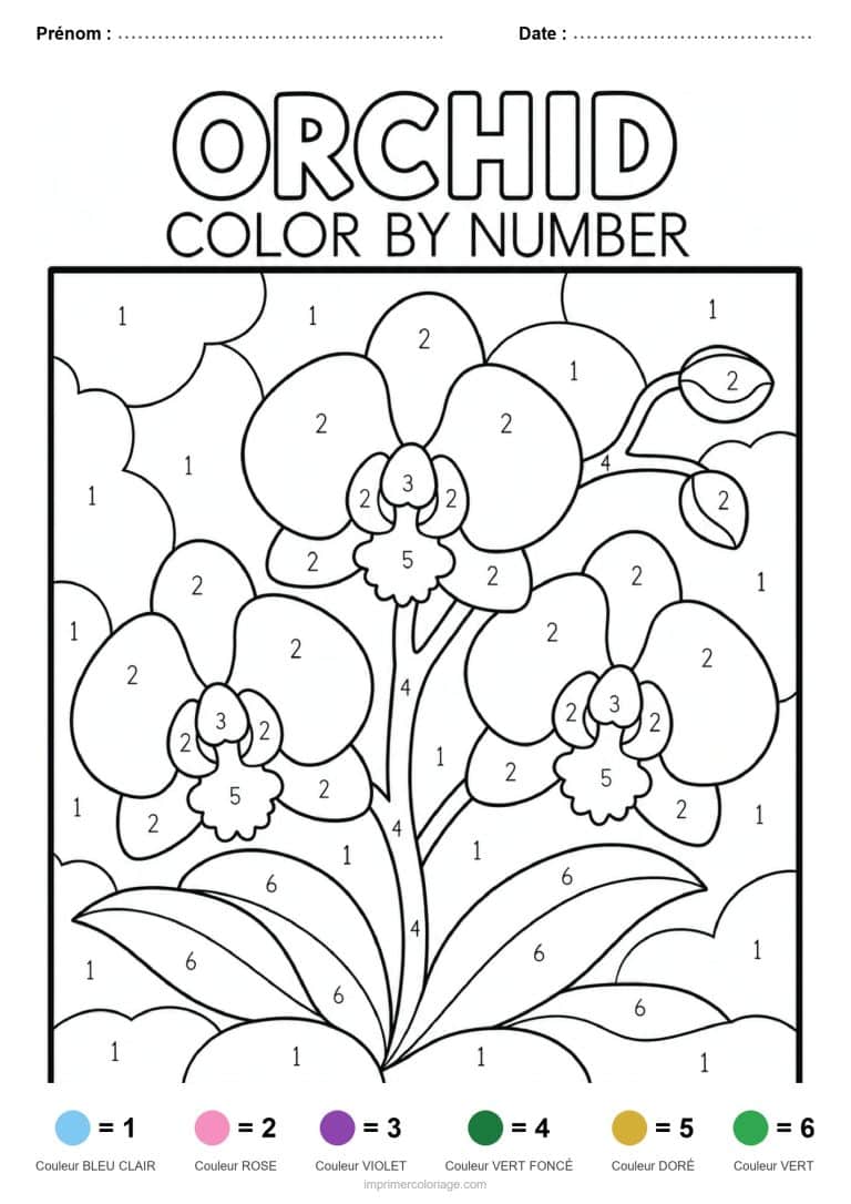 coloriage magique adulte orchidee, dessin gratuit &agrave; imprimer
