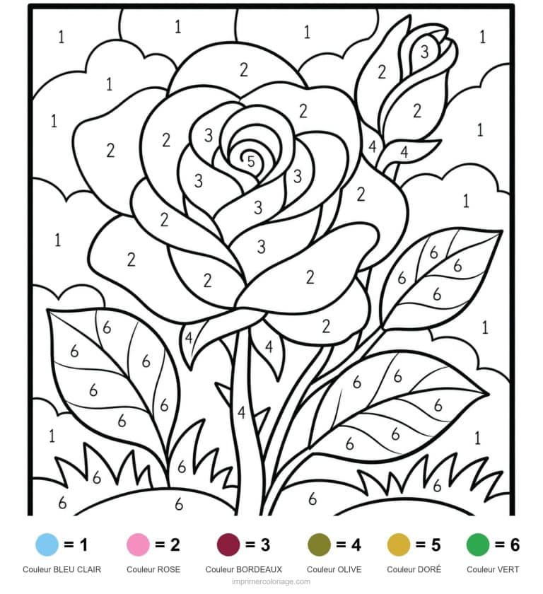 coloriage magique adulte rose - dessin gratuit &agrave; imprimer