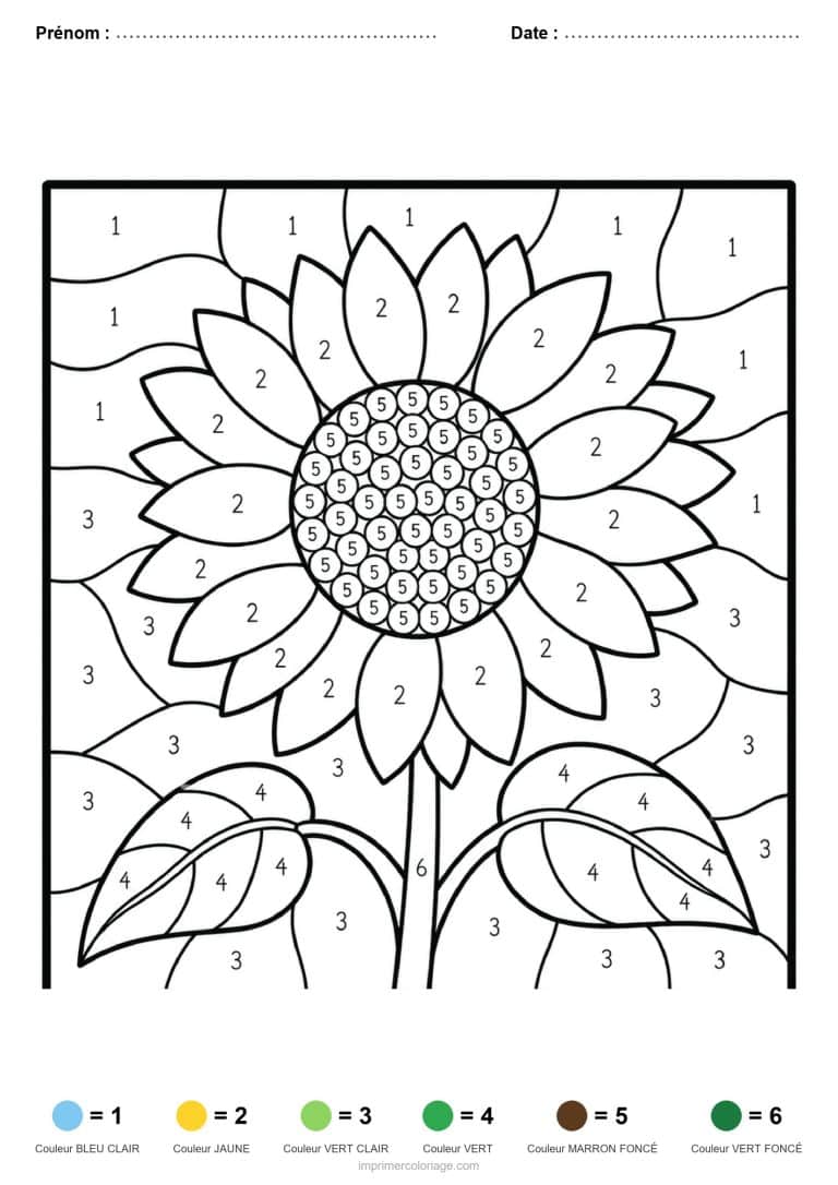 coloriage magique adulte tournesol - dessin gratuit &agrave; imprimer