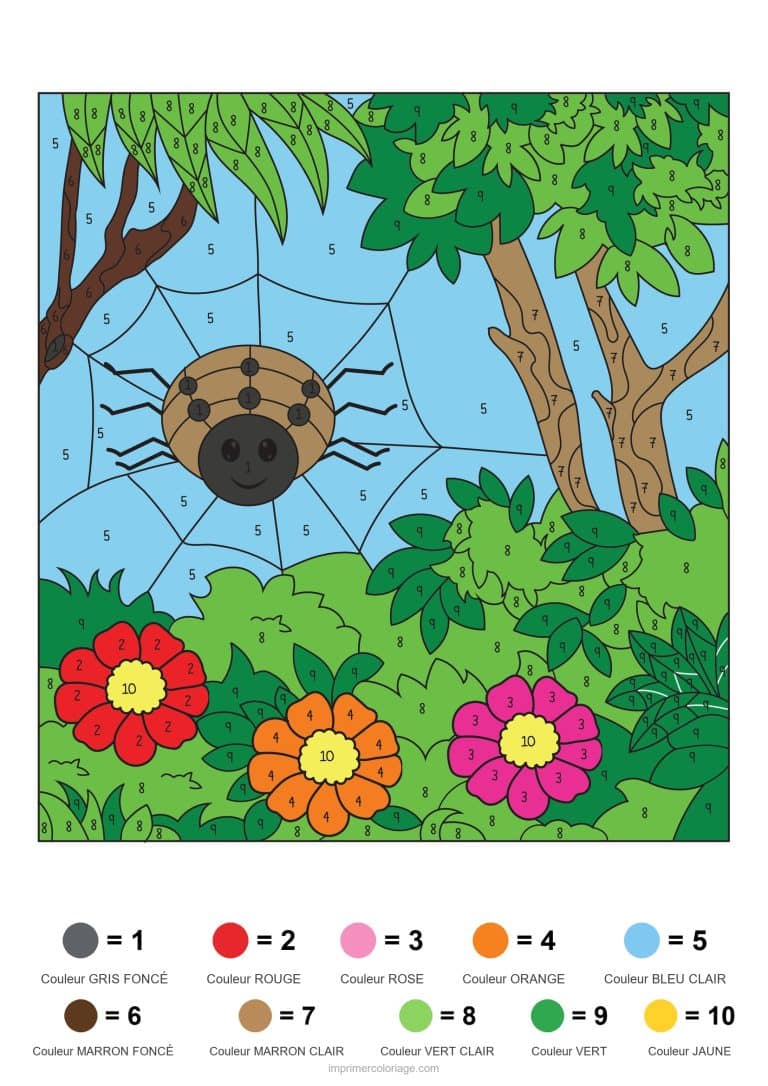 coloriage magique animaux araignee dans la foret modele, dessin gratuit &agrave; imprimer