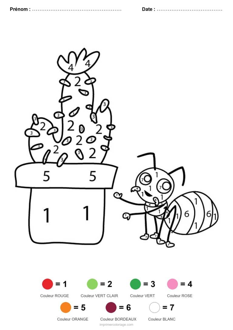 coloriage magique animaux cactus et fourmi, dessin gratuit &agrave; imprimer