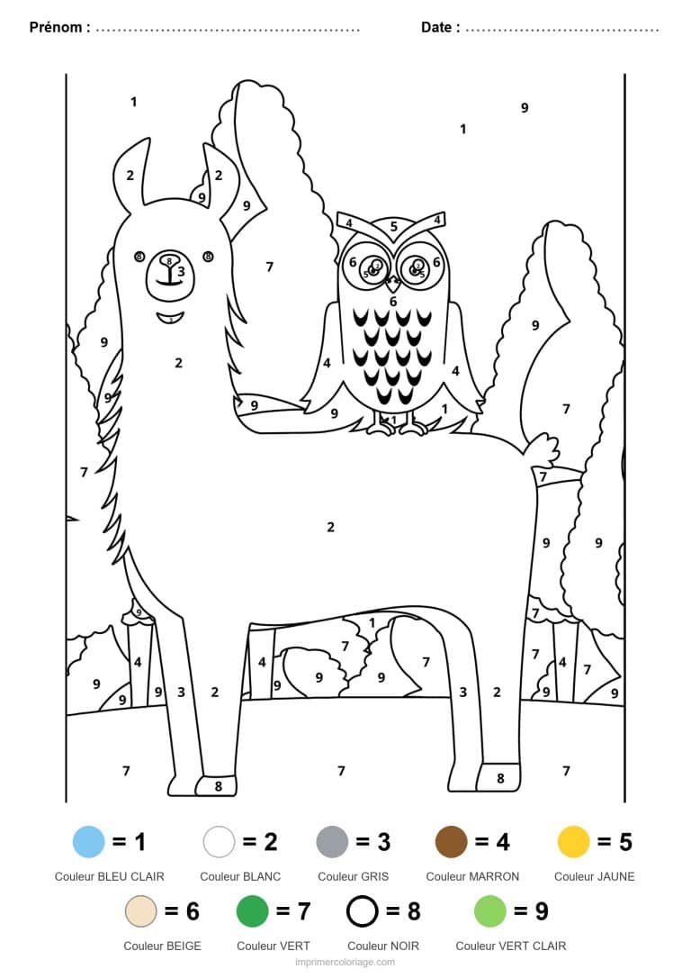 coloriage magique animaux lama et hibou, dessin gratuit &agrave; imprimer