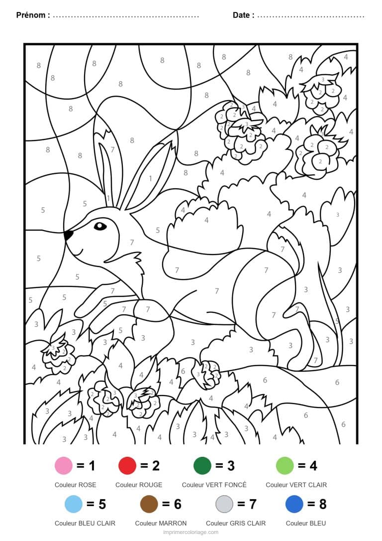 coloriage magique animaux lapin et ecureuil, dessin gratuit &agrave; imprimer