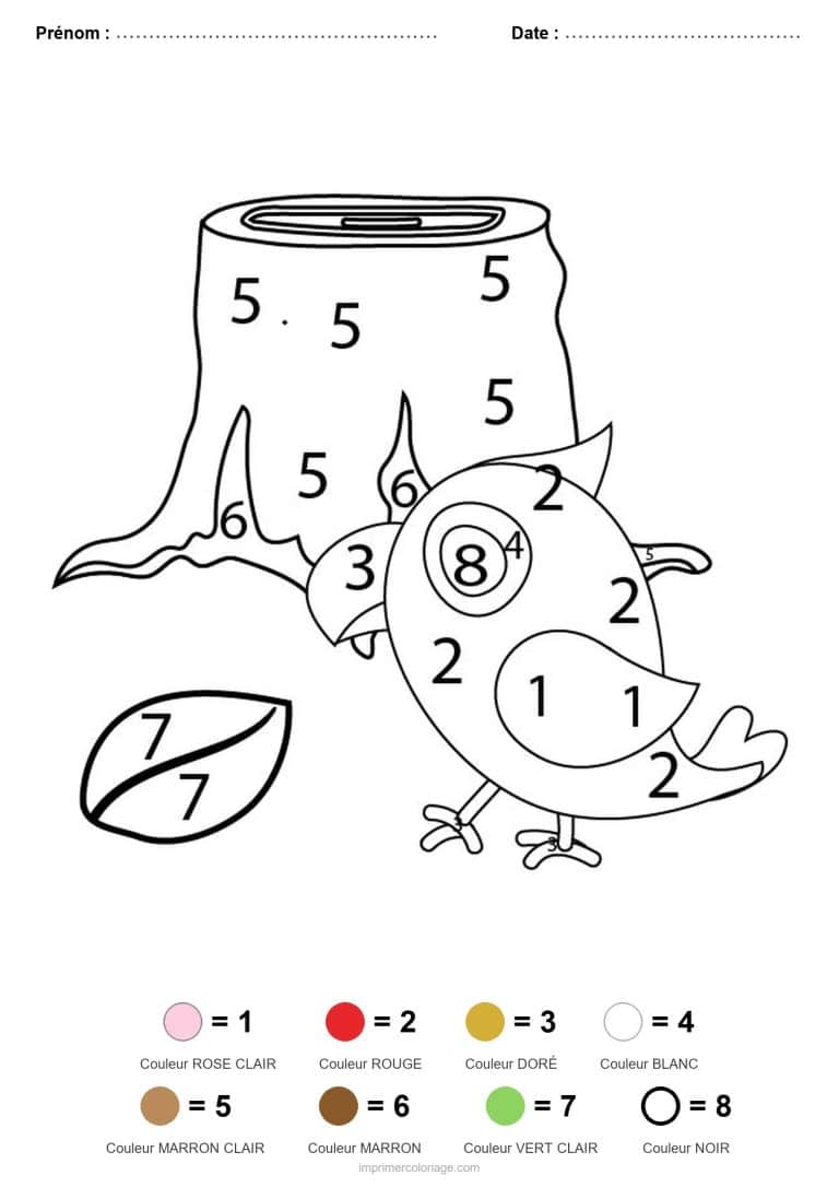 coloriage magique animaux oiseau sur la souche, dessin gratuit &agrave; imprimer