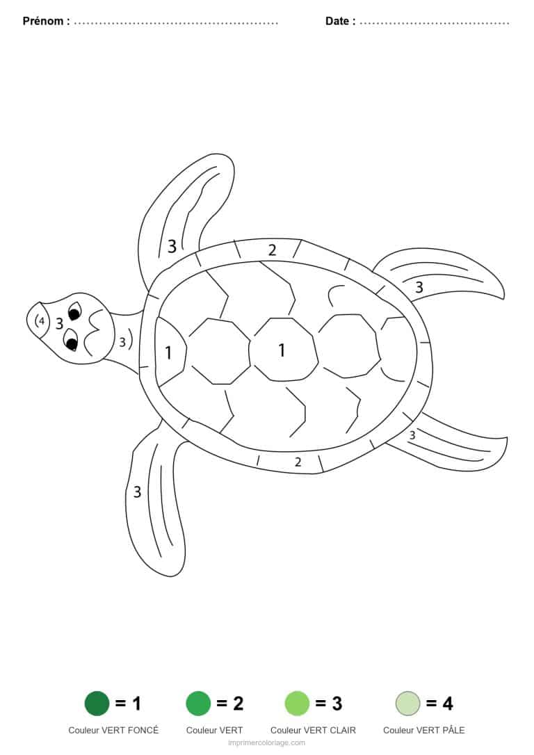 coloriage magique animaux tortue de mer 2, dessin gratuit &agrave; imprimer