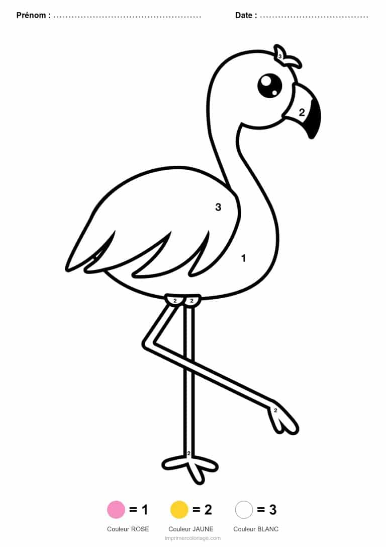 coloriage magique maternelle flamant rose, dessin gratuit &agrave; imprimer
