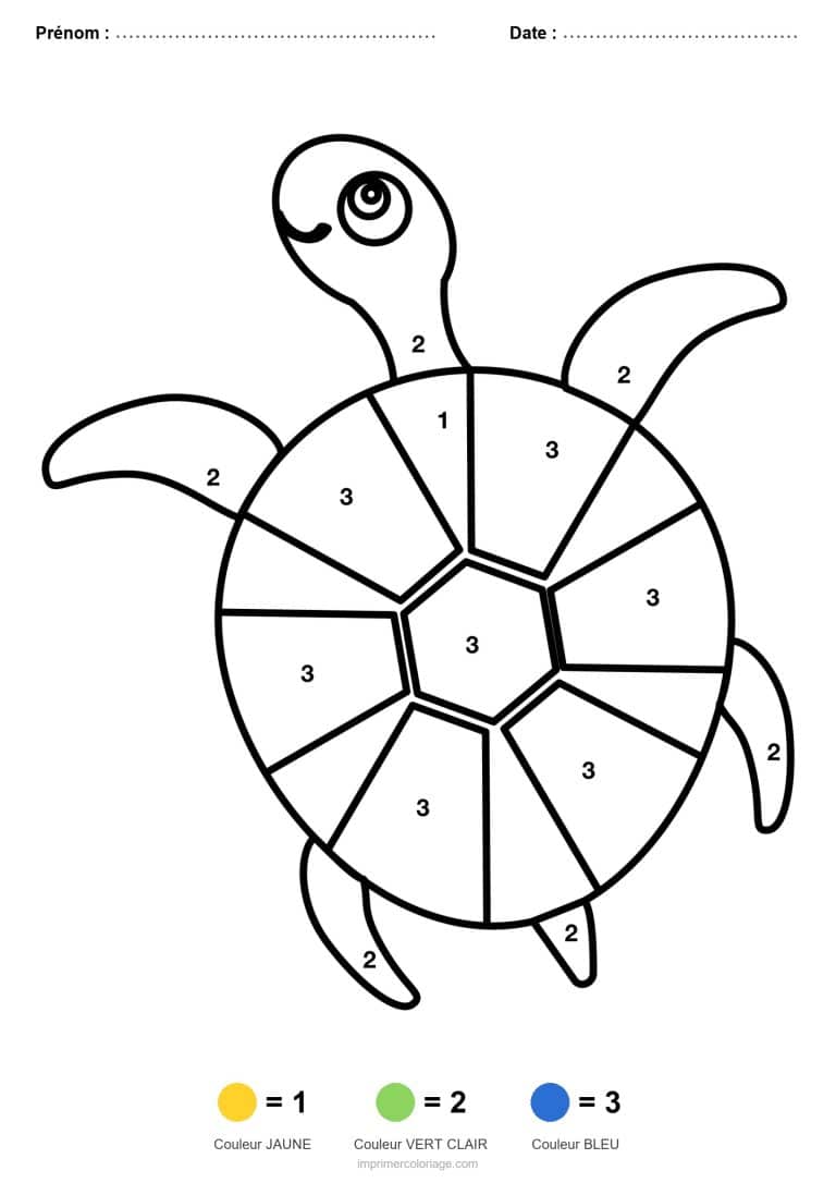 coloriage magique maternelle tortue 2, dessin gratuit &agrave; imprimer