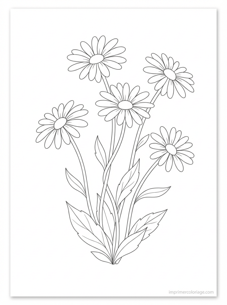 coloriage marguerite groupe cinq - dessin gratuit &agrave; imprimer