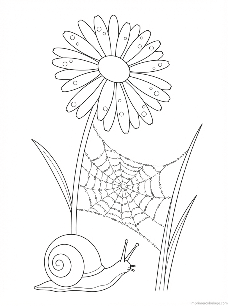 coloriage marguerite rosee toile escargot - dessin gratuit &agrave; imprimer