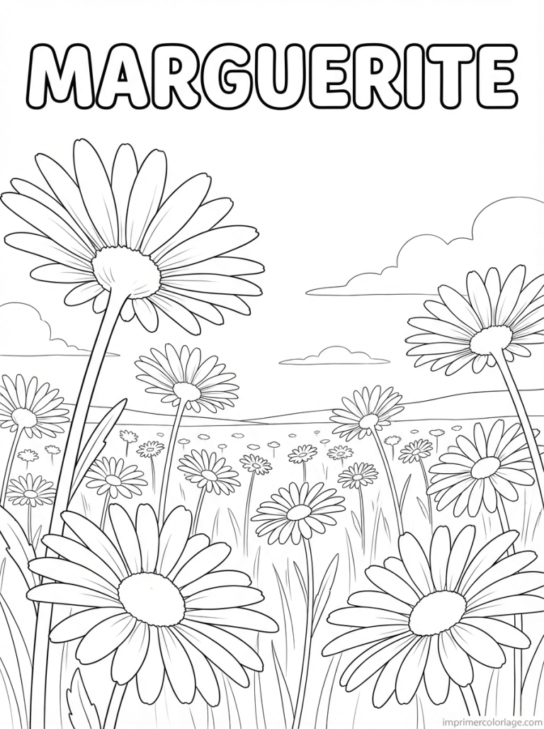 coloriage marguerite titre champ perspective - dessin gratuit &agrave; imprimer