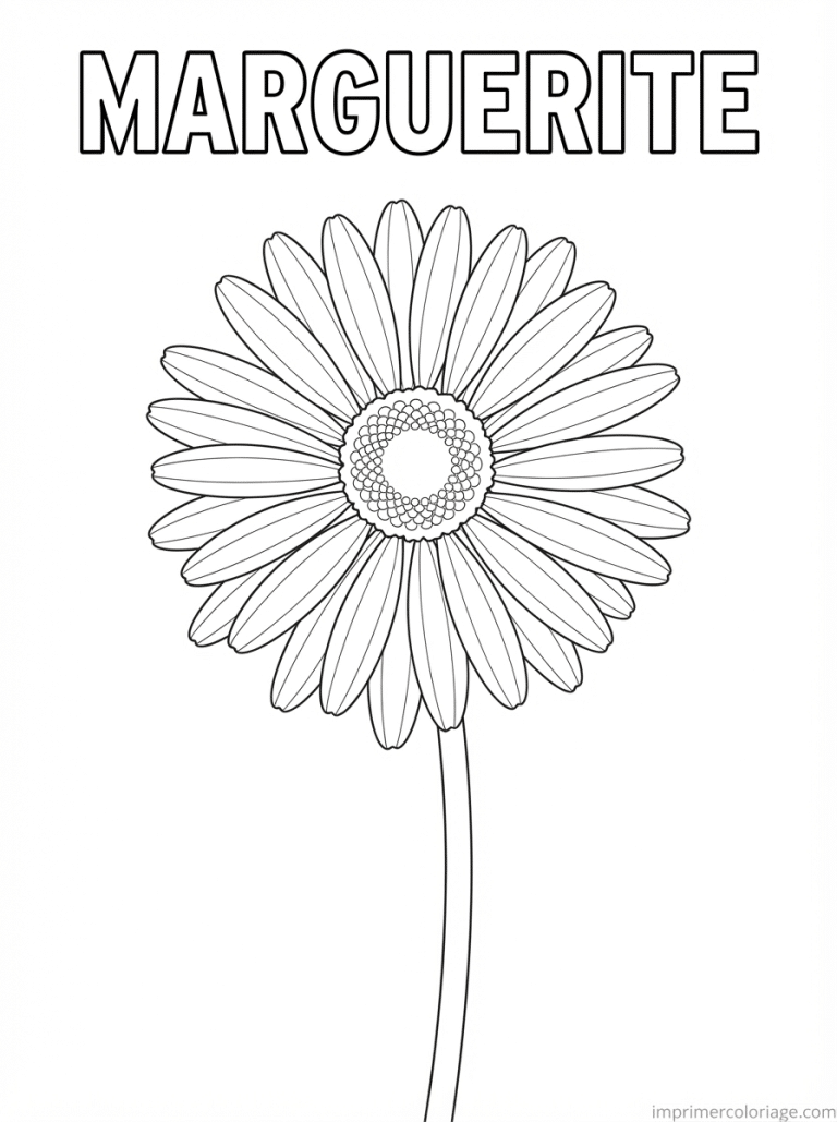 coloriage marguerite titre fleur - dessin gratuit &agrave; imprimer