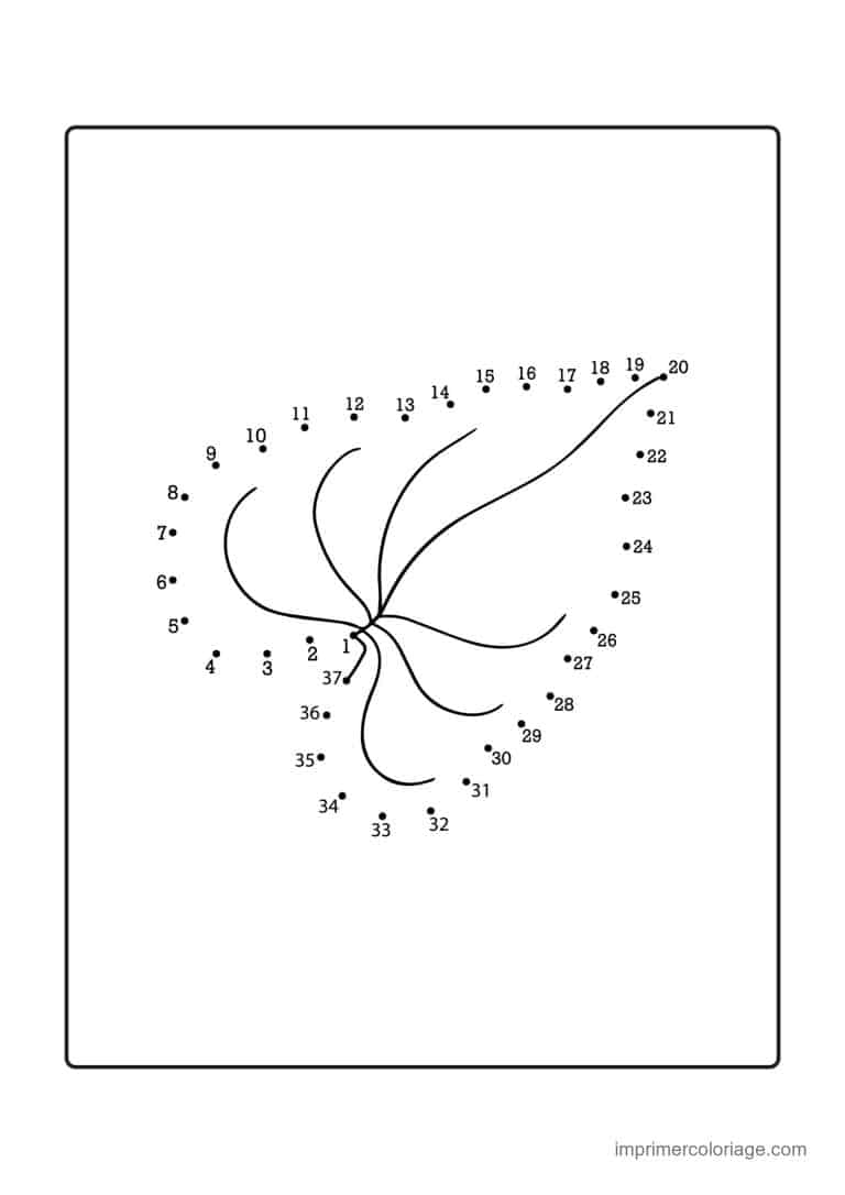 point a relier ce1 1 a 39 coquillage en eventail - dessin gratuit &agrave; imprimer