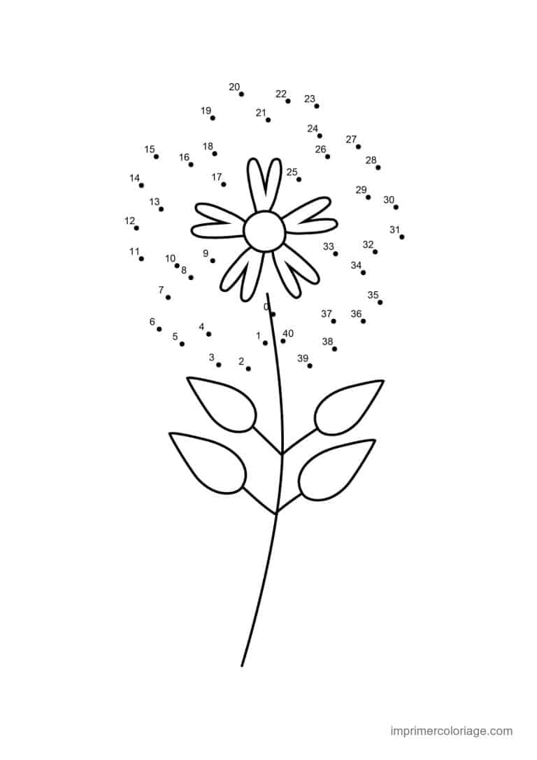point a relier ce1 1 a 44 fleur a petales - dessin gratuit &agrave; imprimer