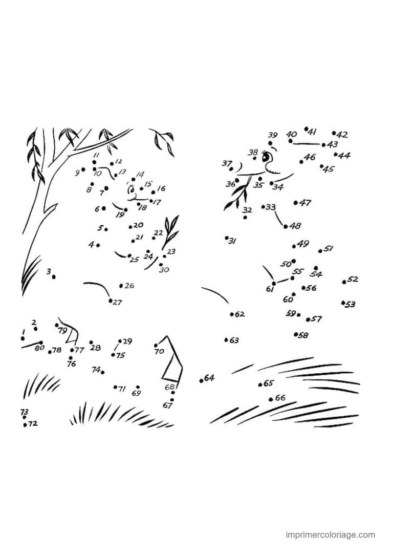 point a relier cm1 1 a 80 dessin mystere dans un pre - dessin gratuit &agrave; imprimer