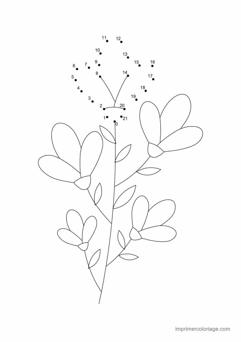 point a relier cp 1 a 22 branche a feuilles - dessin gratuit &agrave; imprimer