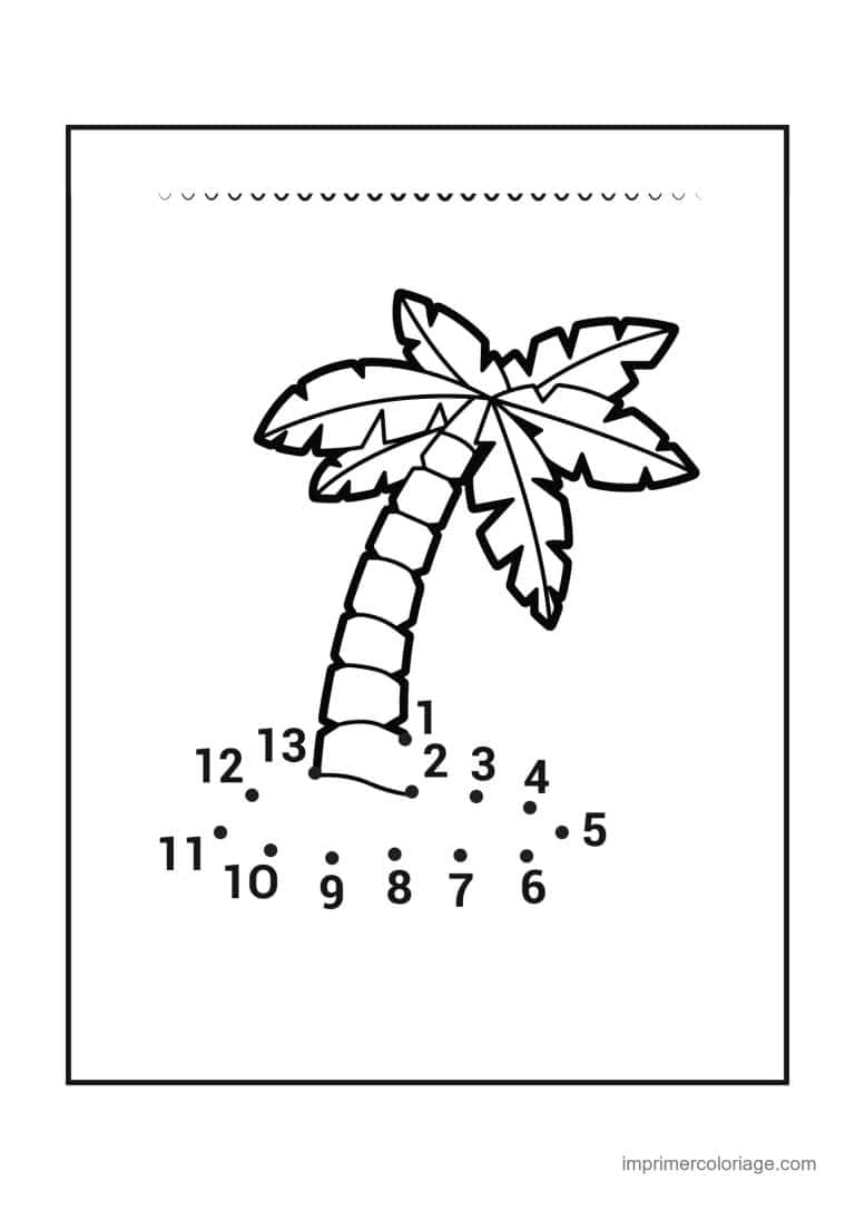 point a relier fleur 1 a 13 palmier - dessin gratuit &agrave; imprimer
